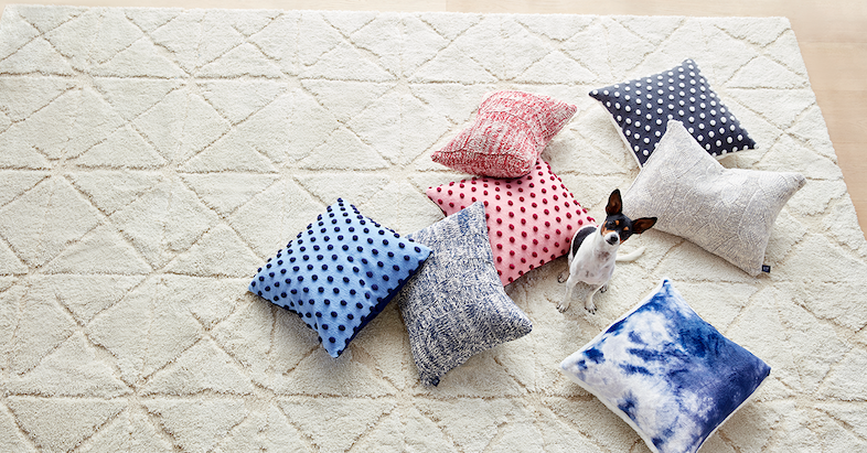 Gap Home expanded assortment of pillows on a rug with a cute dog
